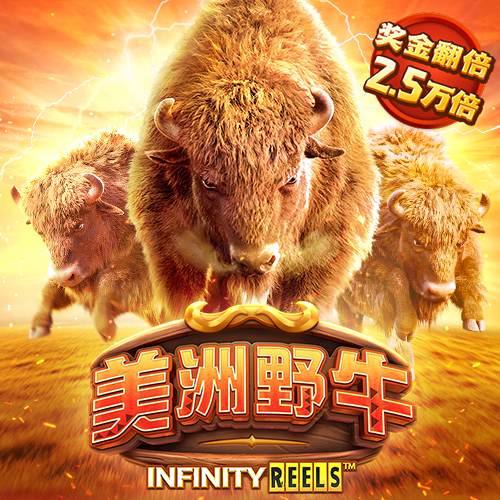 b体育是正规平台吗